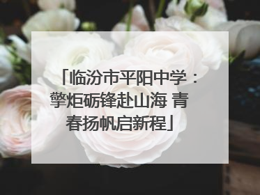 临汾市平阳中学：擎炬砺锋赴山海 青春扬帆启新程